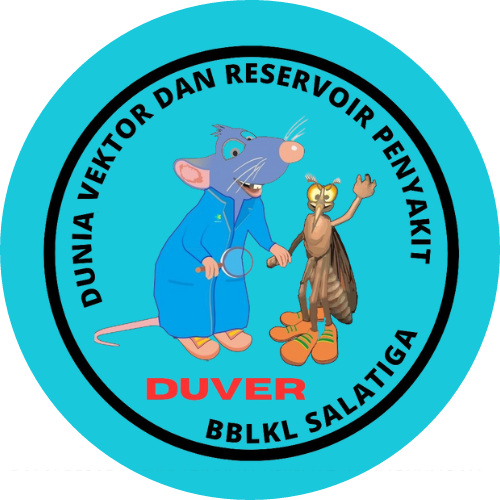 Website Duver